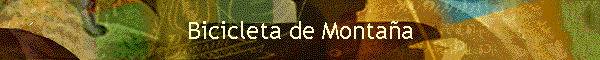 Bicicleta de Montaña