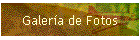 Galer�a de Fotos