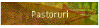 Pastoruri