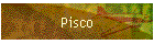 Pisco
