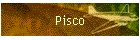 Pisco