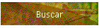Buscar