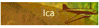 ica