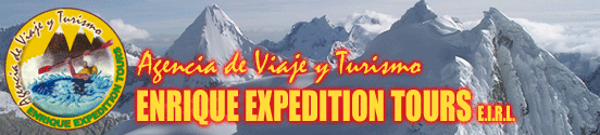 logo enrique
