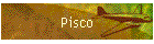 pisco en